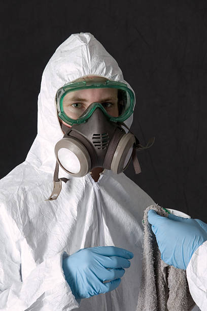 Best Mold Remediation for Vacation Homes  in USA